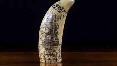Rubrik_Naturschutz_-_Elfenbein_c_pixabay-scrimshaw-382535__340